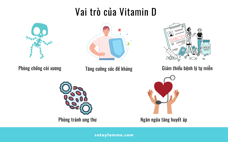 vai trò của vitamin d