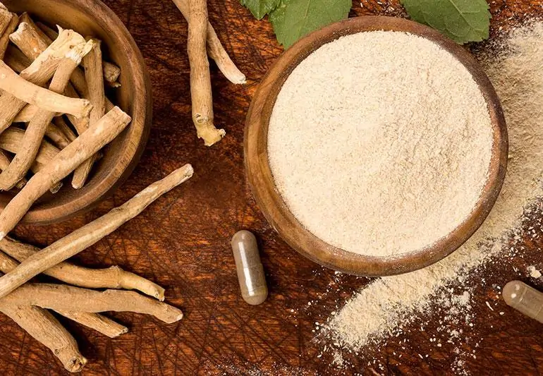 Sâm Ấn Độ Ashwagandha mua ở đâu